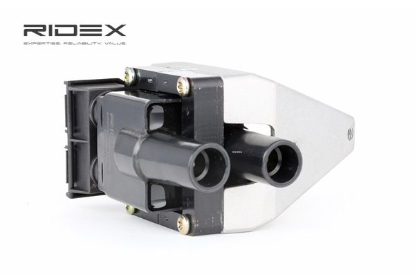 A0001500580 OE RIDEX Ignition coil 689C0231