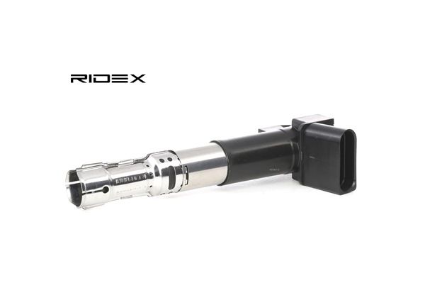 RIDEX 689C0230 Bobina de ignição VW PASSAT Variant (3B6) 2.3 VR5 4motion Gasolina 170 cv 2001 preço