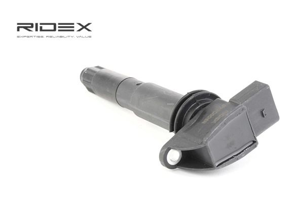94860210407 OE RIDEX Bobina d'accensione 689C0224