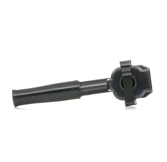 LNE1510AB OE RIDEX Zündspule 689C0213
