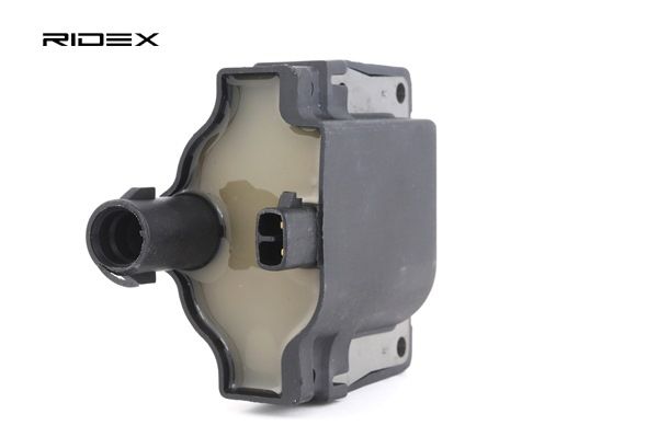 RIDEX 689C0200 Bobine d'allumage TOYOTA 4 Runner (_N1_) 3.0 (VZN130_) Essence 143 CV 1995 prix