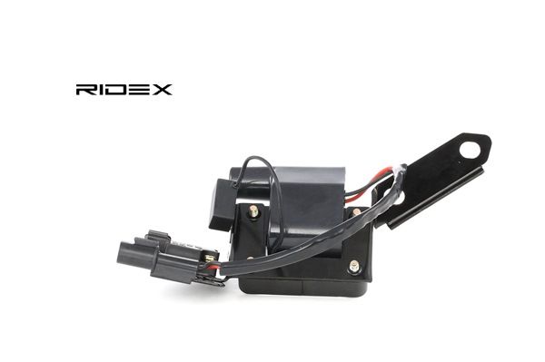 2730102502 OE RIDEX Катушка зажигания 689C0198