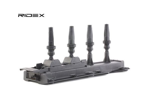 5970A4 OE RIDEX Zündspule 689C0175