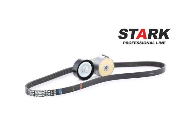 STARK SKRBS-1200015 Keilrippenriemensatz FIAT PUNTO EVO (199) 1.4 Natural Power Benzin/Erdgas (CNG) 78 PS 2010