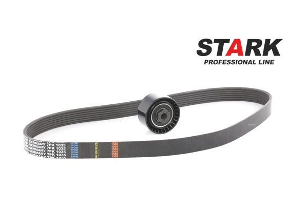 STARK SKRBS-1200016 Kit cinghia servizi Clio 3 1.2 Ethanol (CR1U, BR1U) Benzina/Etanolo 75 CV 2010 prezzo