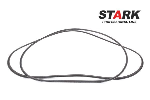 STARK 4M5Q6D314CC Drivremssats