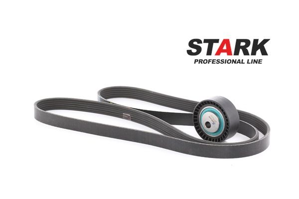 STARK SKRBS-1200038 Keilrippenriemensatz Fiat Scudo Kombi 2.0 JTD 16V Diesel 109 PS 2001