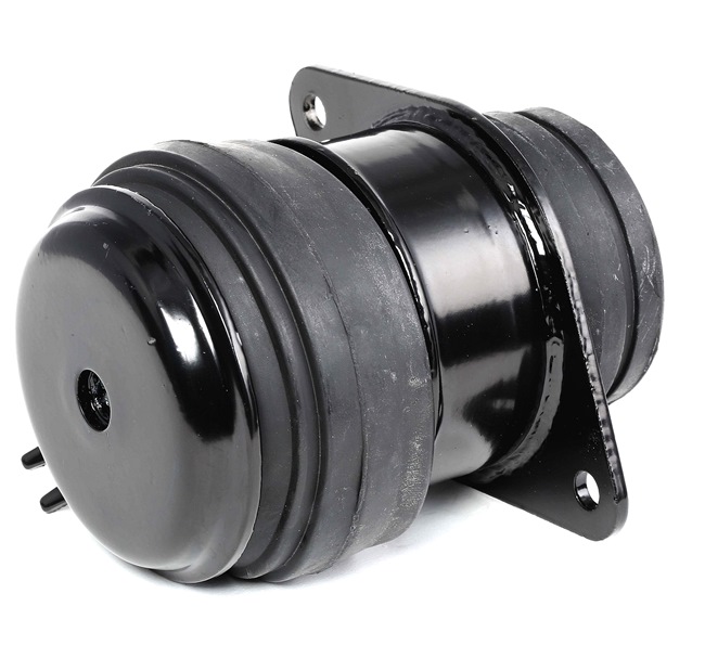 RIDEX Fixation cache moteur Volkswagen GOLF 247E0032