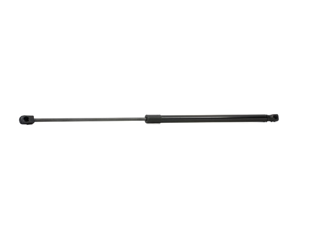 RIDEX 219G0318 Kofferraum Stoßdämpfer Renault Megane Scenic 2.0 i (JA02, JA0G) Benzin 109 PS 1999
