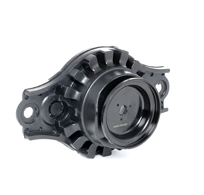 RIDEX 553202F000 Jousijalan tukilaakeri 1180S0138