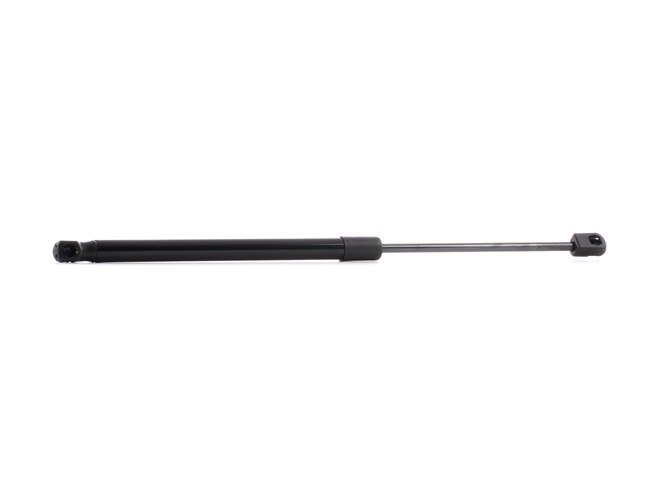 RIDEX 6896005050 Gasveer achterklep
