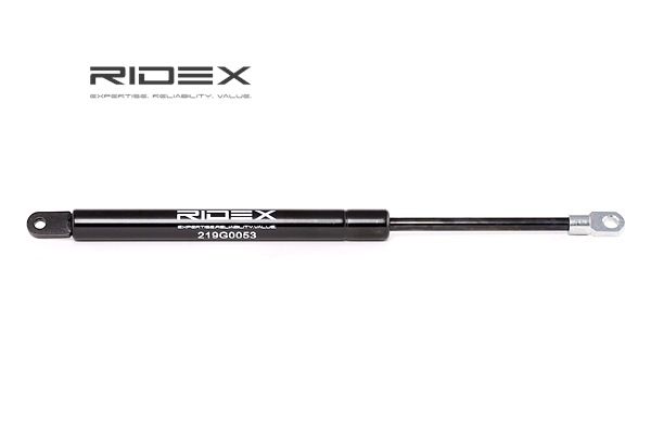 91151133100 OE RIDEX Heckklappendämpfer 219G0053