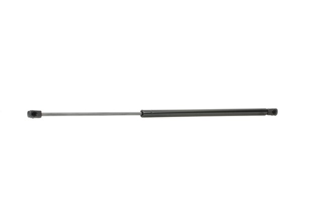 219G0345 RIDEX 8731E3 Heckklappendämpfer