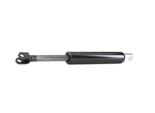 RIDEX 219G0191 Gasveer, achterklep MERCEDES-BENZ W124 Combi (S124) 300 TE 3.0 (124.090) Benzine 188 Pk 1989 kosten