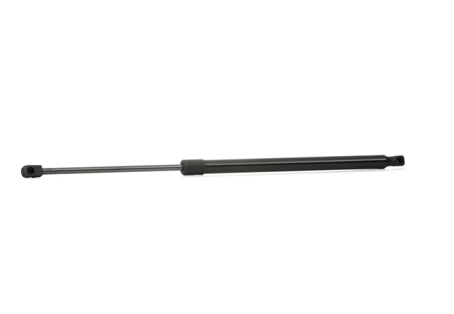 RIDEX 219G0196 Prtljaznik / prostor za tovor FIAT STILO Multi Wagon (192) 1.9 D Dizel 90 km 2005