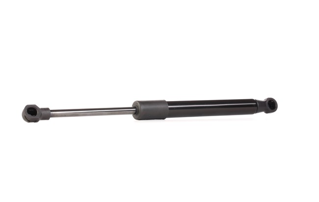 60622424 OE RIDEX Bagklapsdæmper 219G0297