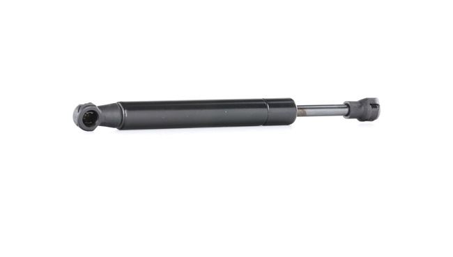 RIDEX 514G0011 Haubenlifter FIAT Multipla (186) 1.6 (186AXC1A, 186BMC1A, 186BXC1A) Benzin 103 PS 2009