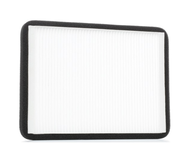 RIDEX 424I0121 Oro filtras, keleivio vieta RENAULT Megane I Cabriolet (EA) 2.0 benzinas 114 AG 2002