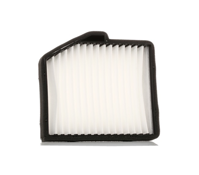 974064A900AT OE RIDEX Pollen filter 424I0179