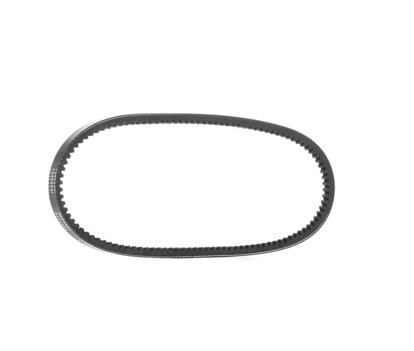 RIDEX 7701348549 V-riem