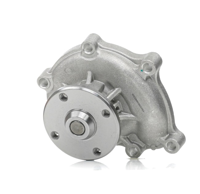 251004X300 OE RIDEX Vandpumpe 1260W0067