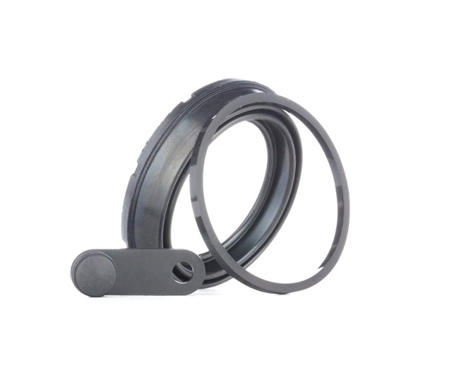 BUDWEG CALIPER Guarnizione, Pistoncino pinza freno 185728