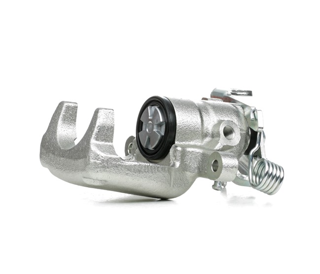 Jarrusatula STARK SKBC-0460393