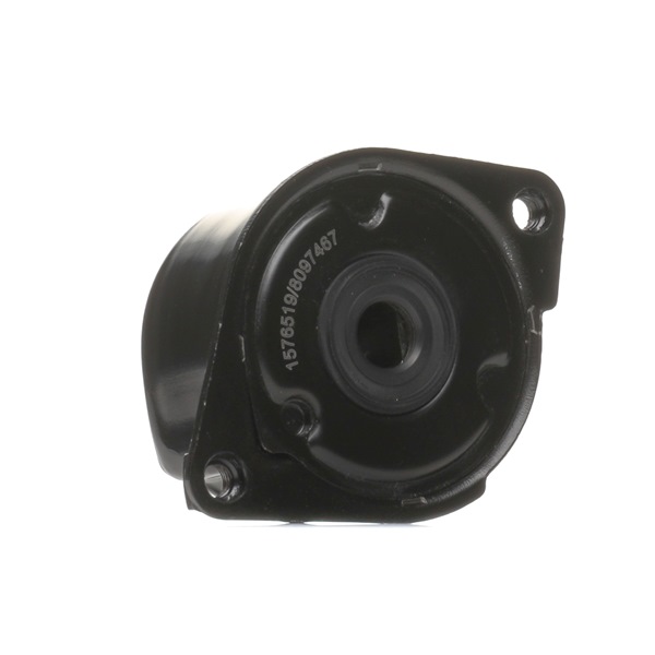 originalni BMW Z3 RIDEX Napenjalec, rebrasti jermen 541V0036