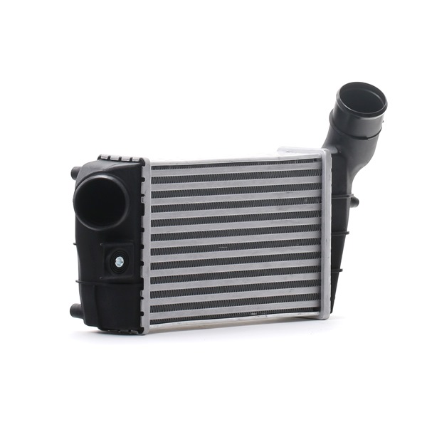 STARK SKICC-0890031 Turbo intercooler ALFA ROMEO GT (937) 1.9 JTD (937CXN1B) Diesel 150 hp 2008 price
