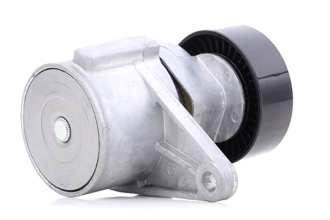 30757057 OE RIDEX Galet tendeur de courroie d'accessoire 541V0010