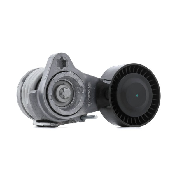 7530314 OE RIDEX Tensor de correia, correia trapezoidal estriada 541V0022