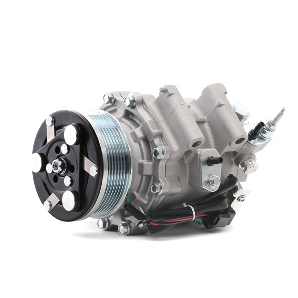 RIDEX 38810RSRE01 Aircopomp