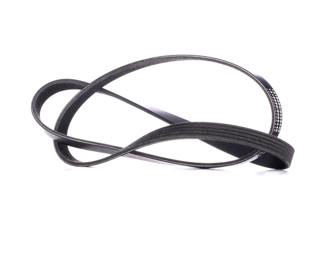 06B903137 OE RIDEX Keilrippenriemen 305P0039