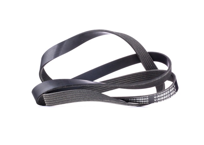 4414599 OE RIDEX Courroie Poly-V 305P0086