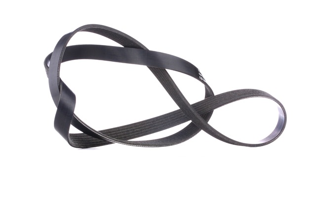 RIDEX 06H903137H Multiriem