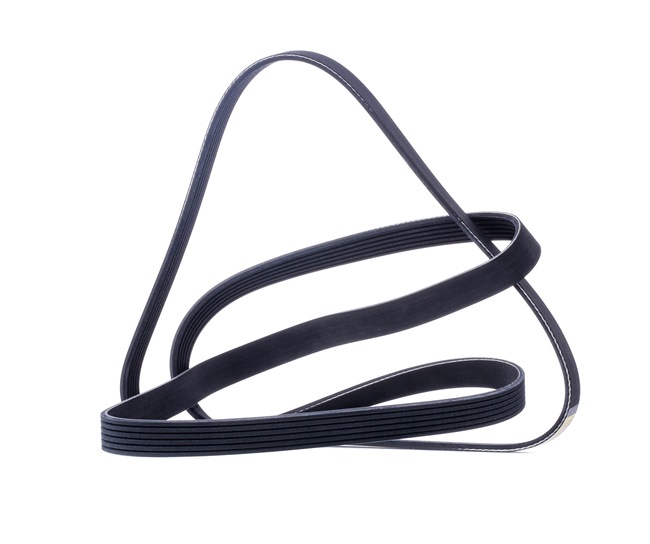 Correa trapecial poli V LF4J15909B RIDEX 305P0128