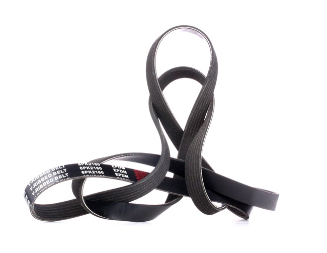 0149971192 OE RIDEX Courroie Poly-V 305P0162