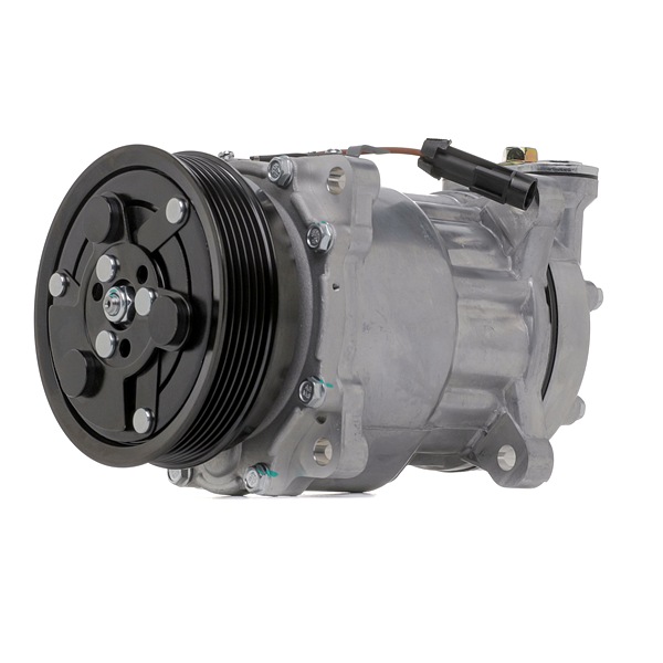 RIDEX 447K0219 Aircopomp LANCIA THESIS (841AX) 3.0 V6 Benzine 215 Pk 2009 kosten