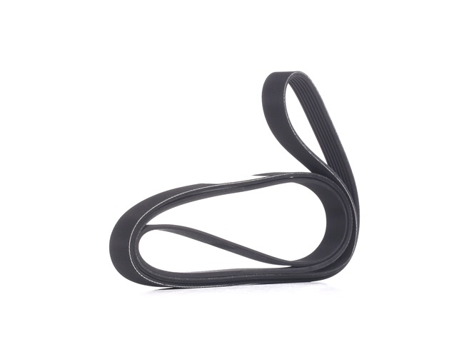 38920RBDE01 OE RIDEX Rebrasti jermen 305P0108