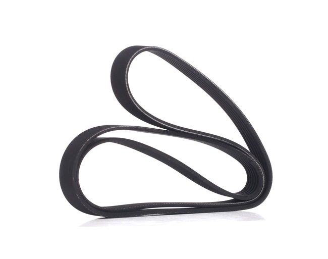 RIDEX 022145933T Multirem