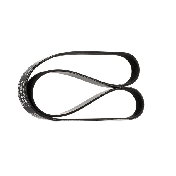 RIDEX 305P0179 Serpentine belt FIAT CROMA (194) 1.9 D Multijet Diesel 136 hp 2007 price