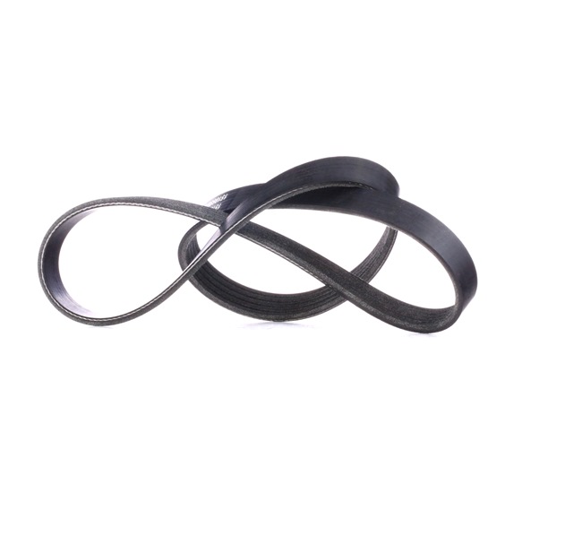 55556404 OE RIDEX Multireim 305P0176