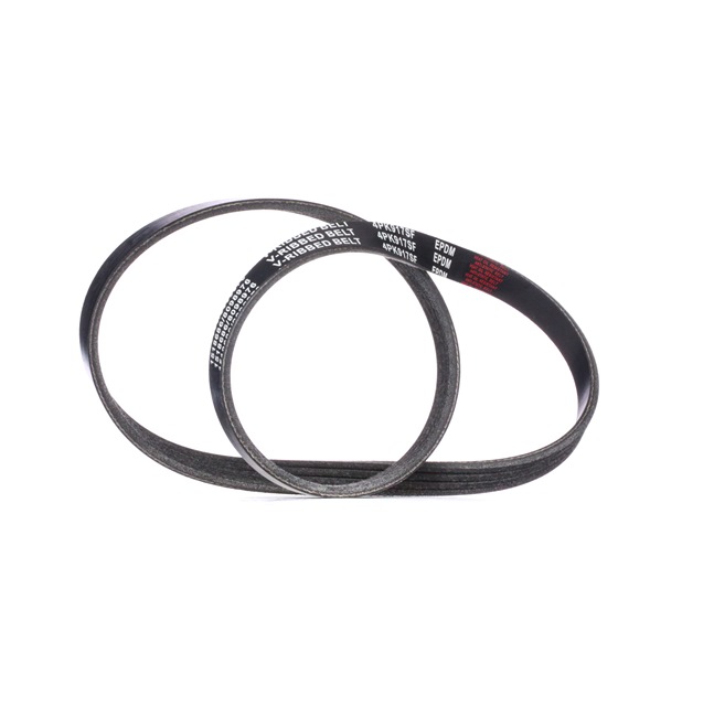 RIDEX 305P0305 Rebrasti jermen Fiat Stilo Kombi 1.6 16V Bencin 103 km 2006