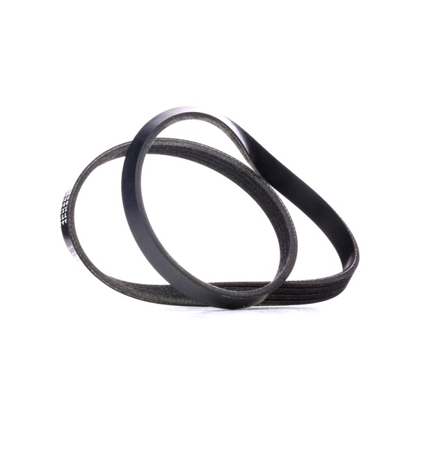 RIDEX 305P0360 Courroie d'alternateur BMW 5 Berline (E60) 530d 3.0 Diesel 218 CV 2002 prix