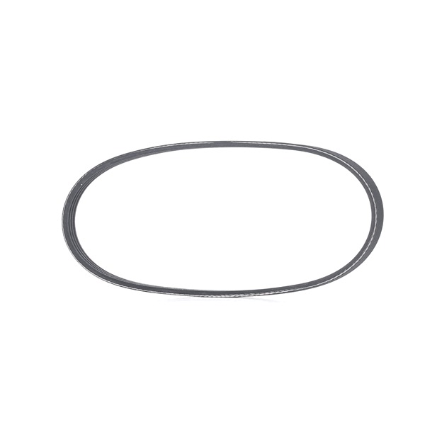 RIDEX 305P0339 Courroie d'alternateur VOLVO 460 L (464) 1.6 Essence 83 CV 1996 prix
