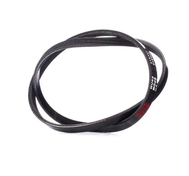 RIDEX 46787905 Multirem