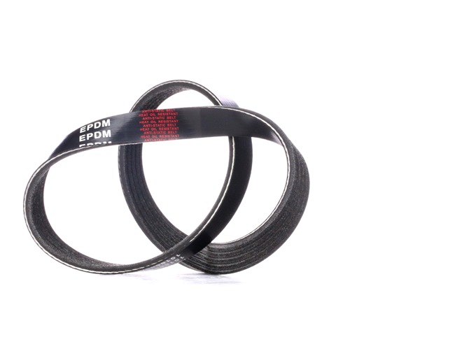 RIDEX 305P0324 Cinghia Poly-V Rover 75 Tourer 1.8 Benzina 120 CV 2004 prezzo