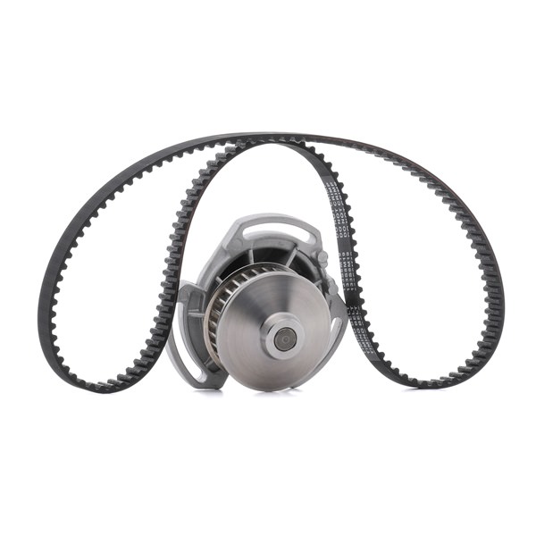 STARK SKWPT-0750135 Kit de distribución con bomba de agua VOLKSWAGEN Vento (1H2) 1.6 Gasolina 75 cv 1995 precio
