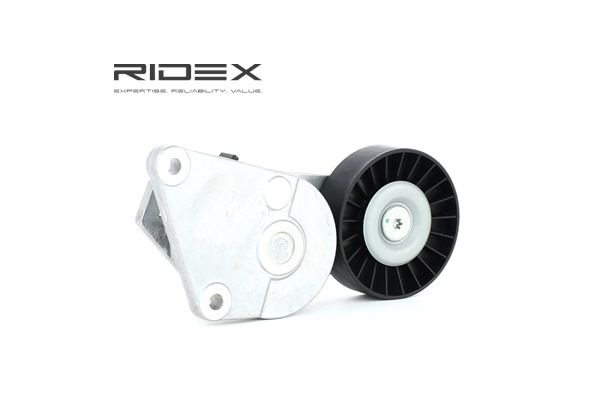 RIDEX 310T0076 Ležaj mikro jermena PEUGEOT 306 Hatchback 1.8 Bencin 101 km 2000
