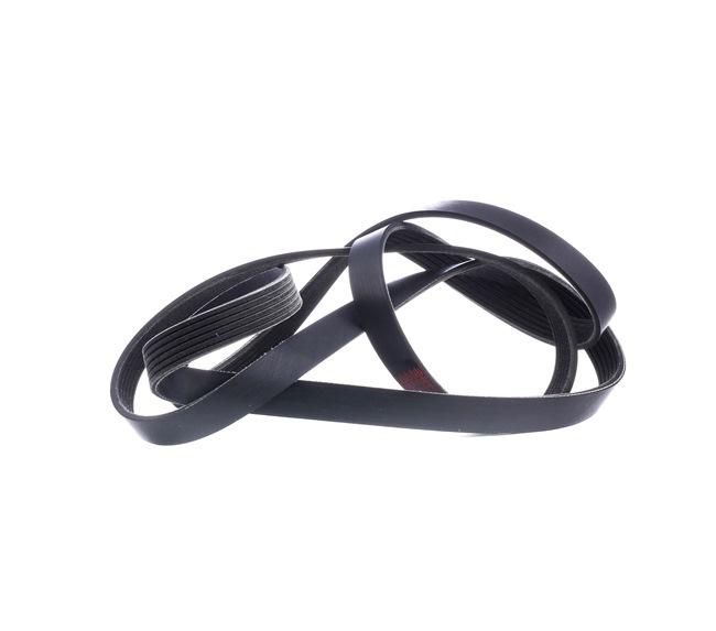 Correa trapecial poli V 93185055 RIDEX 305P0350